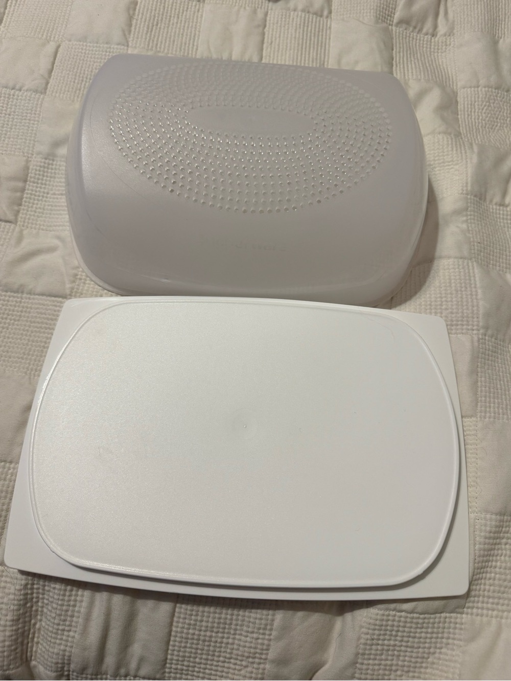 Large Tupperware cheese smart